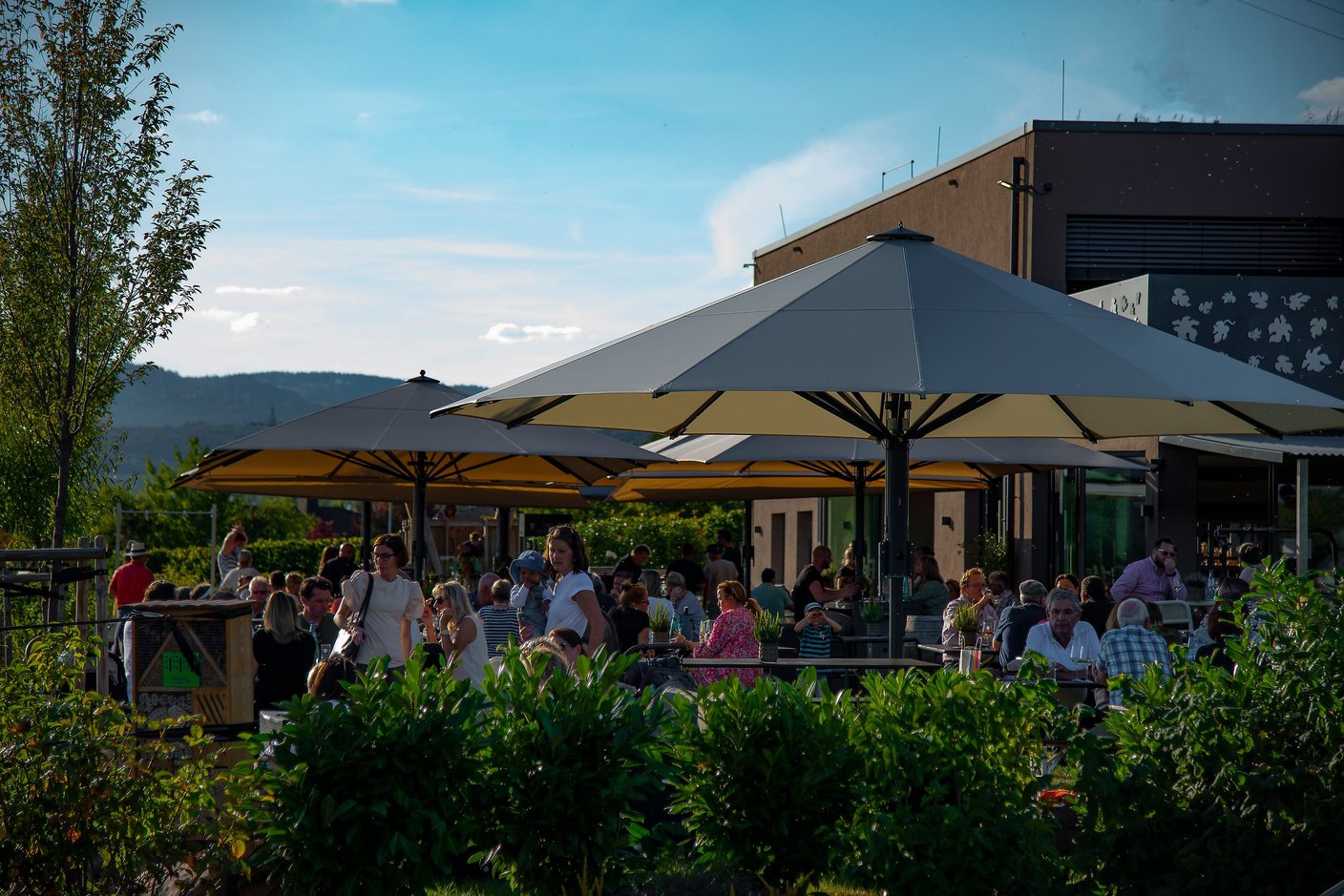 Voll besetzter Biergarten unter Bahama Großschirmen an einem Sommertag