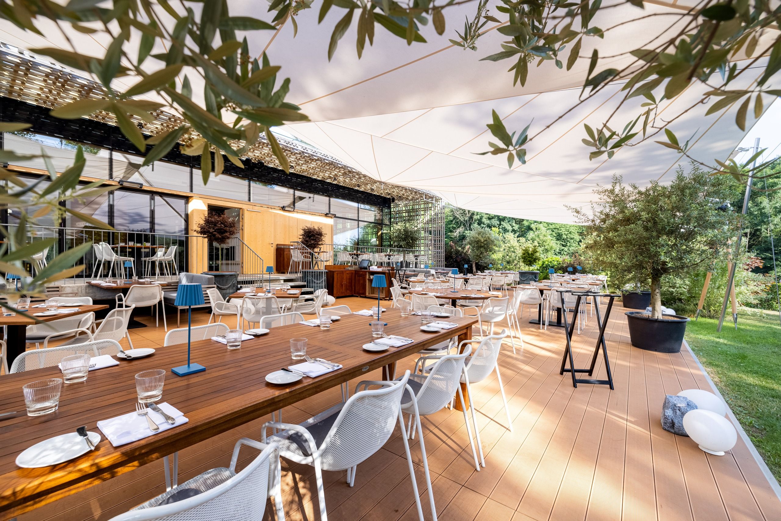 SunSquare Sonnensegel über einer Terrasse, gerahmt von Olivenzweigen in der Unschärfe